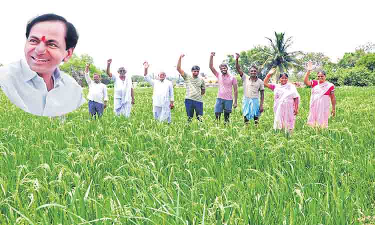 రైతుబంధువుతో బతుకులు మారినయ్