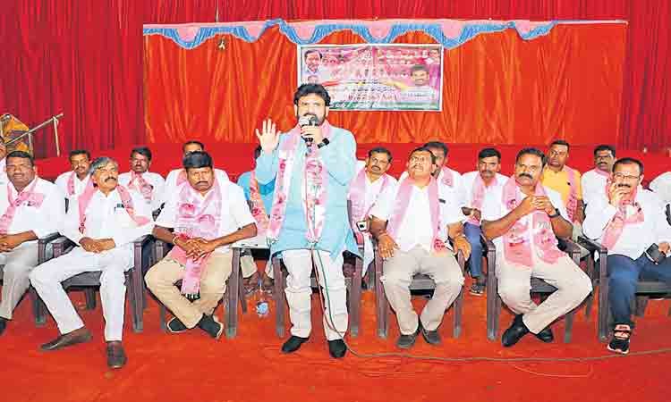 పార్టీని పతాక స్థాయిలో నిలబెట్టాలి