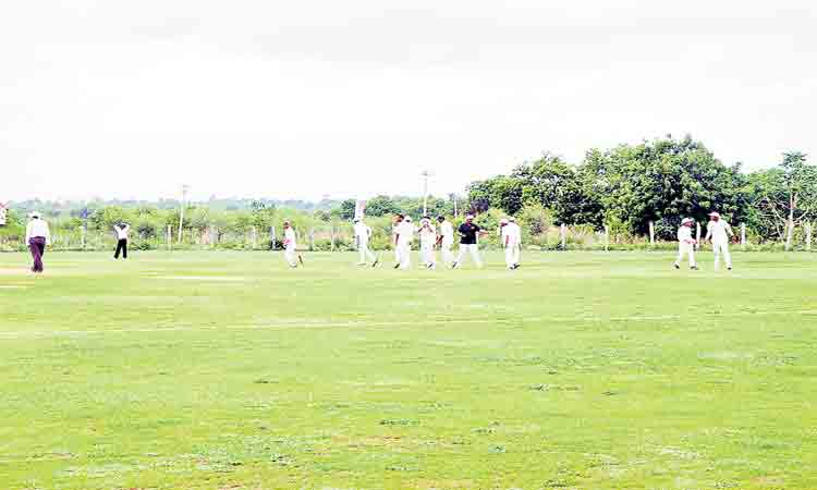 పొలాల్లో ఆట కాసుల పంట