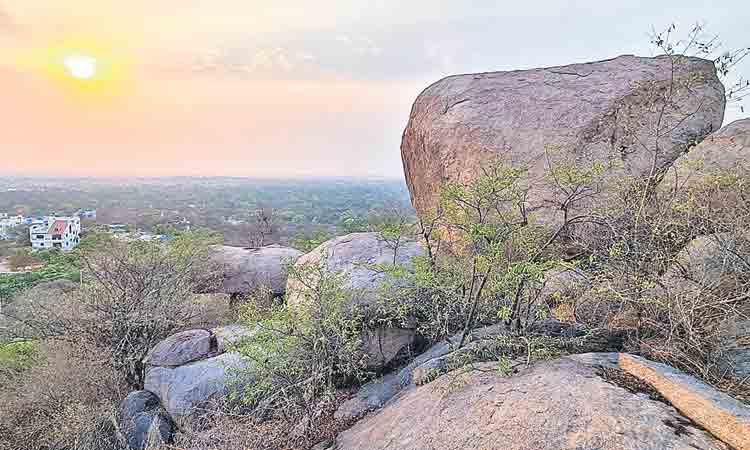 రాతి శిలల రక్షణకు.. నేను సైతం..