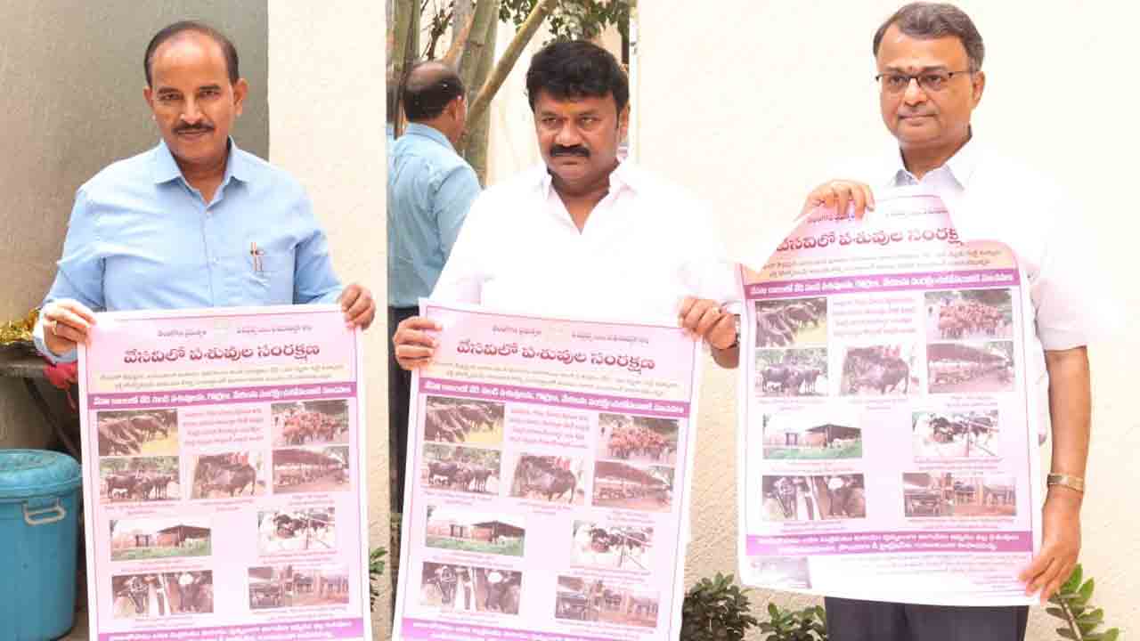 వేసవిలో పశువుల సంరక్షణపై ప్రత్యేక శ్రద్ధపెట్టాలి : మంత్రి తలసాని
