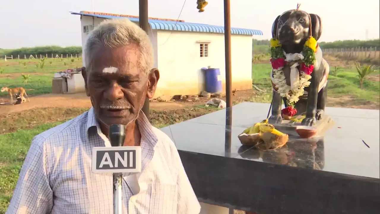 చ‌నిపోయిన పెంపుడు కుక్క కోసం 82 ఏళ్ల వృద్ధుడు ఏం చేశాడంటే?