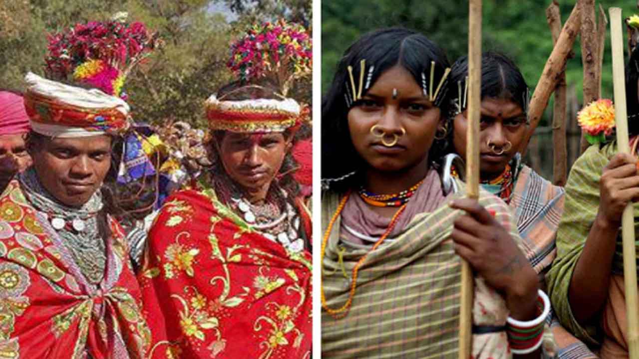 మన దేశంలో గిరిజనుల పరిస్థితి ఇది