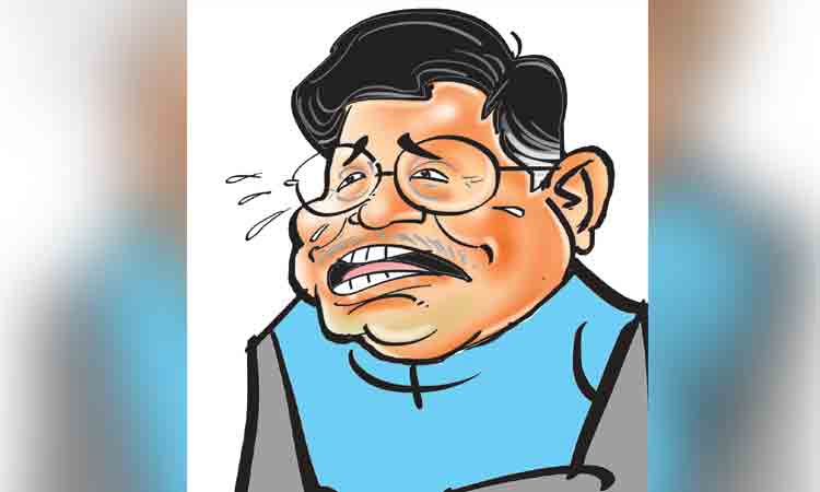 అబద్ధాల పుట్ట గోయల్‌