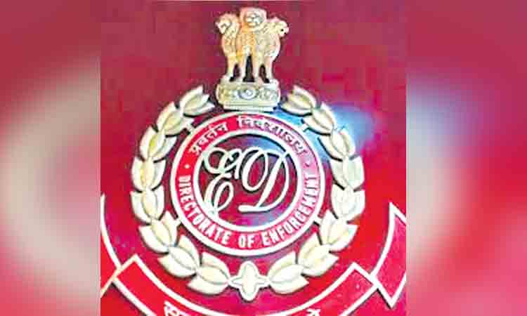 సదరన్‌ అగ్రిఫురేన్‌ 294 కోట్ల ఆస్తుల జప్తు