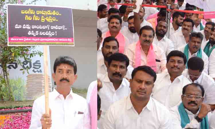 ఢిల్లీ దీక్షలో మన నేతలు