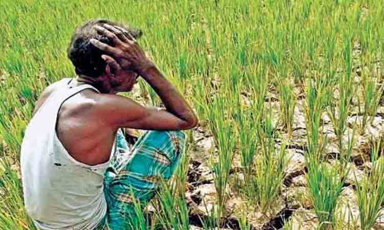 కేంద్రం తీరు ఘోరం.. సాగుపై భారం