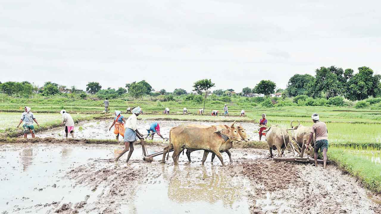సాగుపై అవగాహన