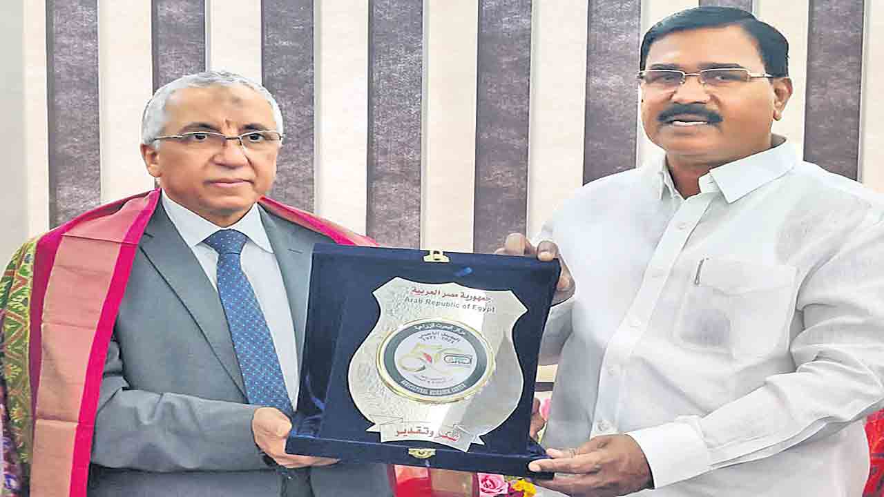 మీ పథకాలు బేమిసాల్‌