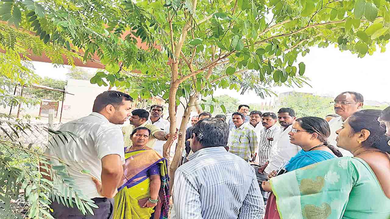 పల్లె ప్రకృతి వనంపై ప్రశంసలు