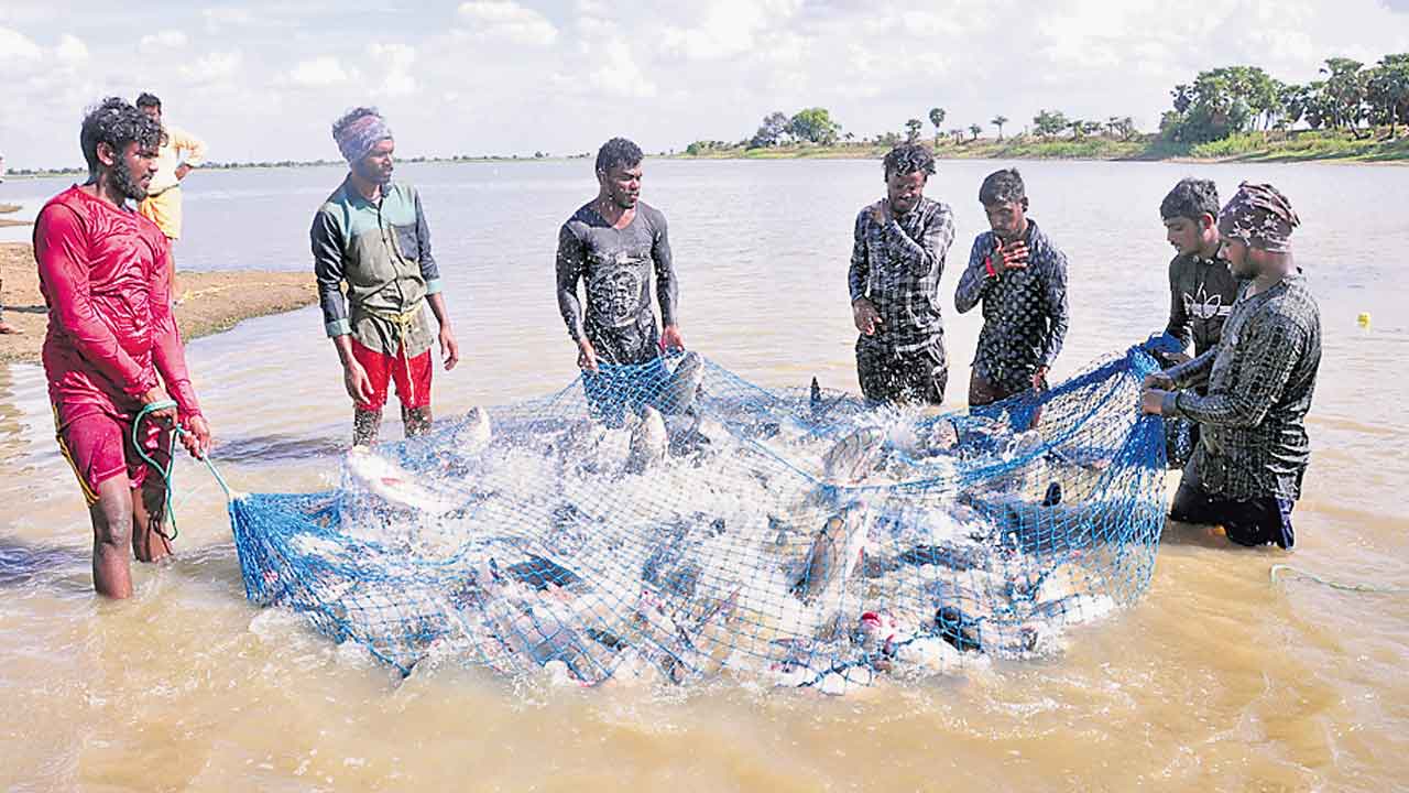 మత్స్య ‘సహకారం’