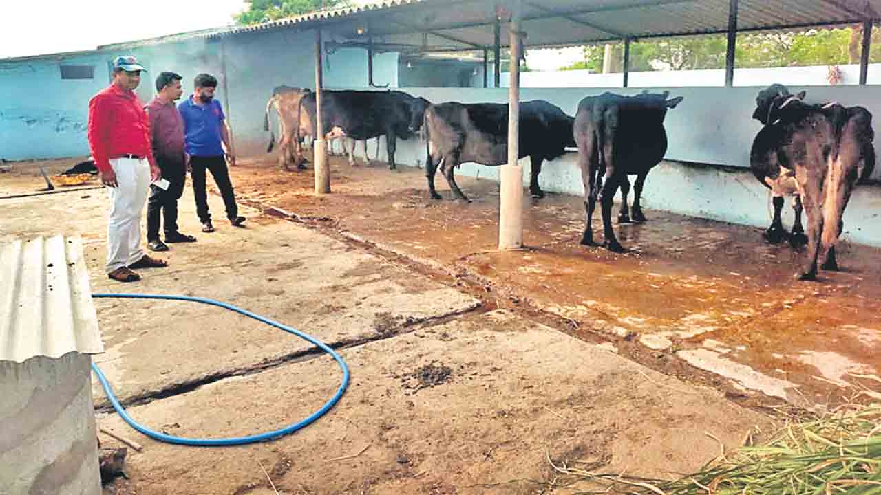 వడివడిగా.. దళిత బంధువు