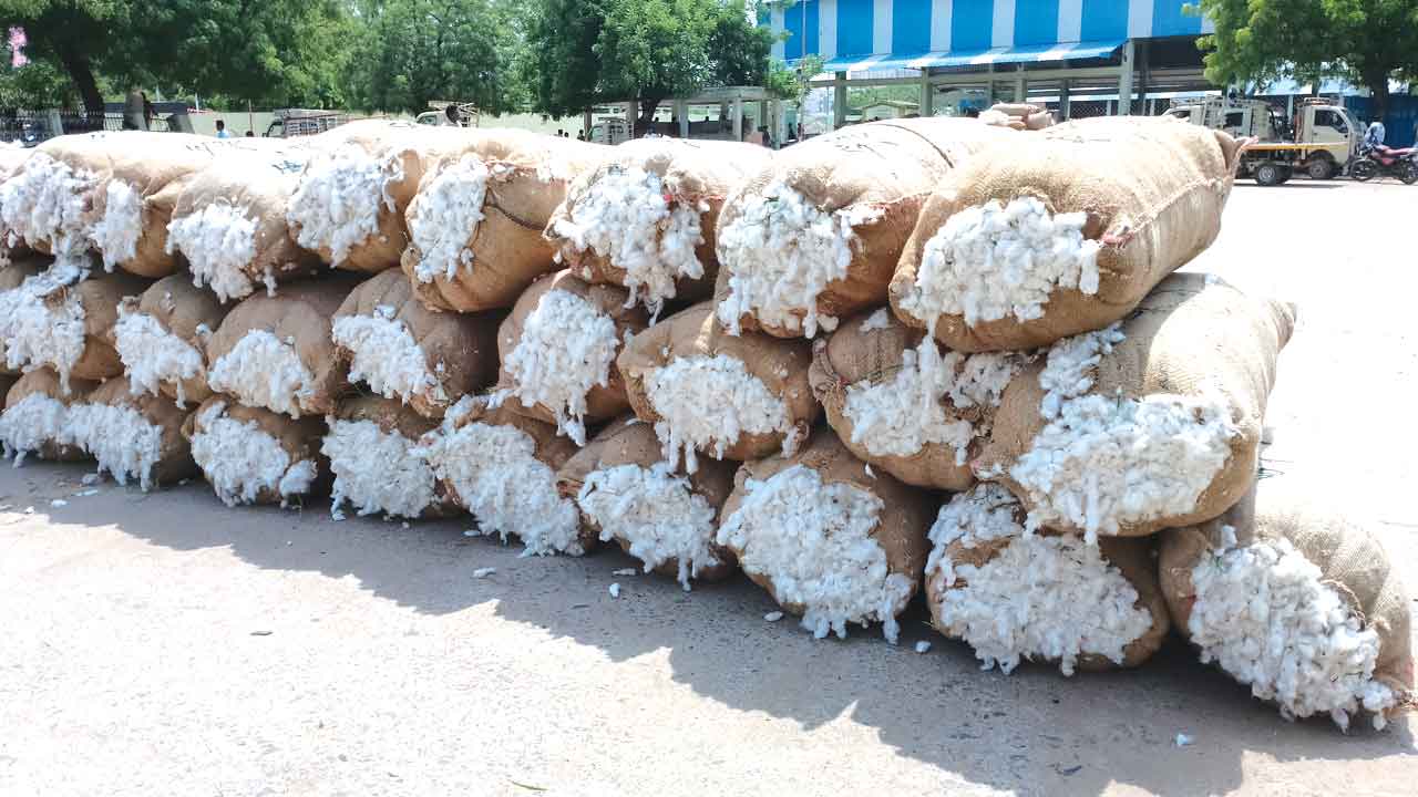 పత్తి @ రూ.13,050