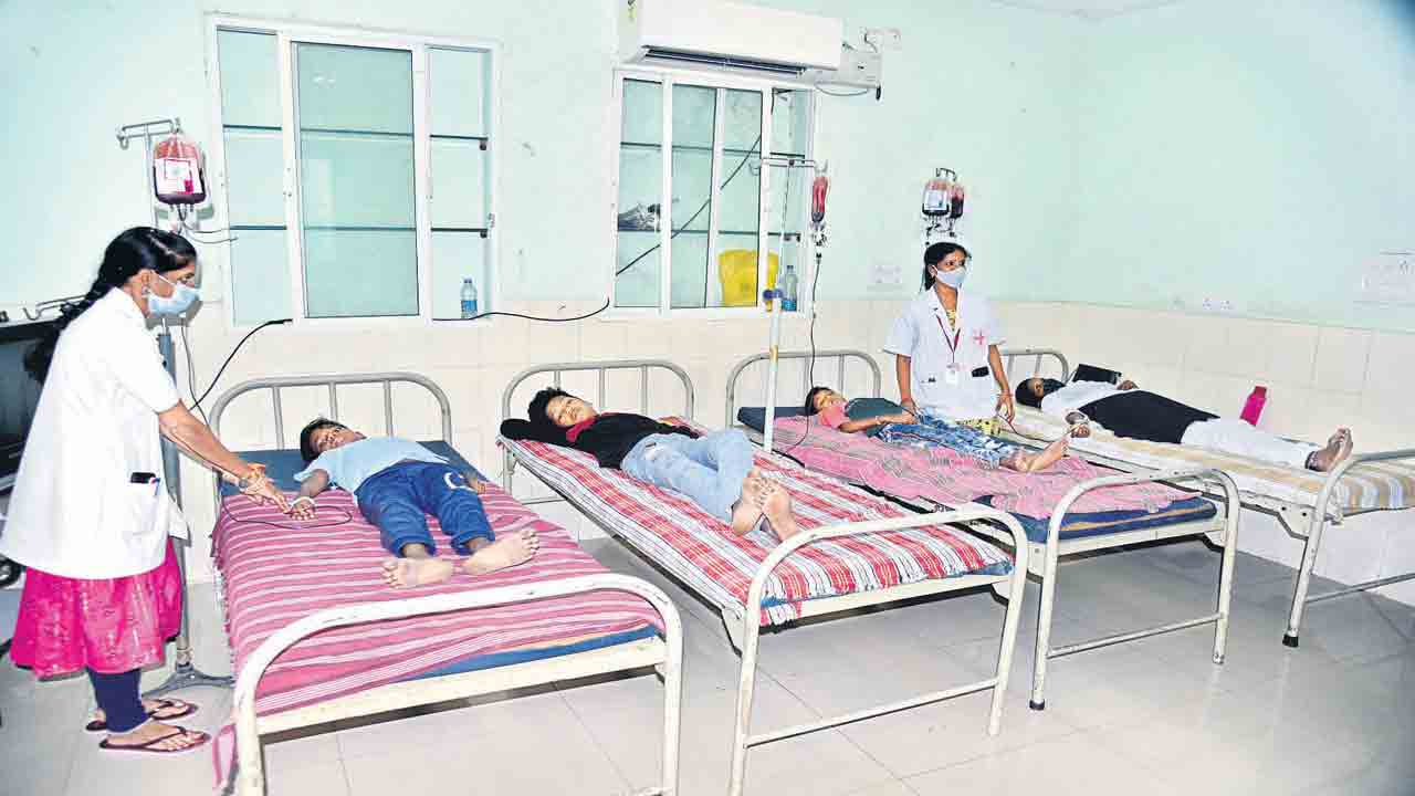 రక్తం పీల్చేస్తోంది