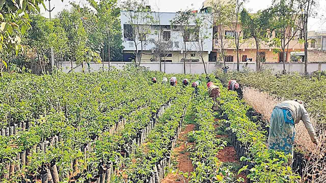 స్వచ్ఛత వైపు బోడుప్పల్ కార్పొరేషన్