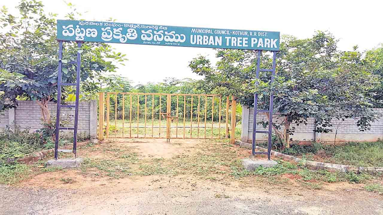 పట్టణలకు పచ్చని శోభ