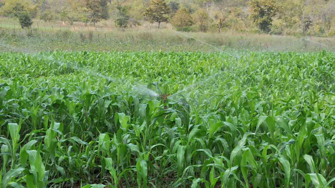 యాక్షన్‌ ప్లాన్‌ రెడీ