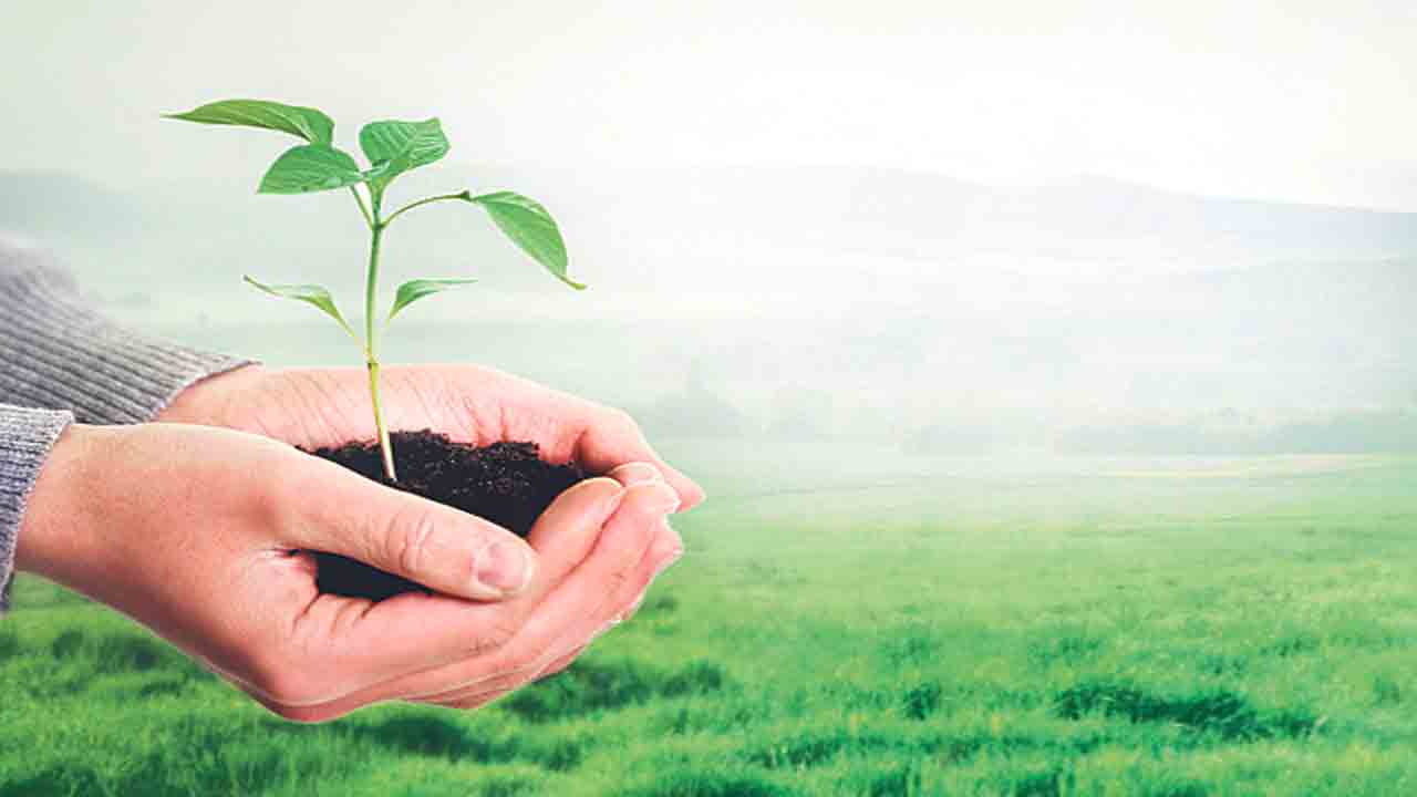 చరిత్ర రచయిప్రకృతికి హరితహారం