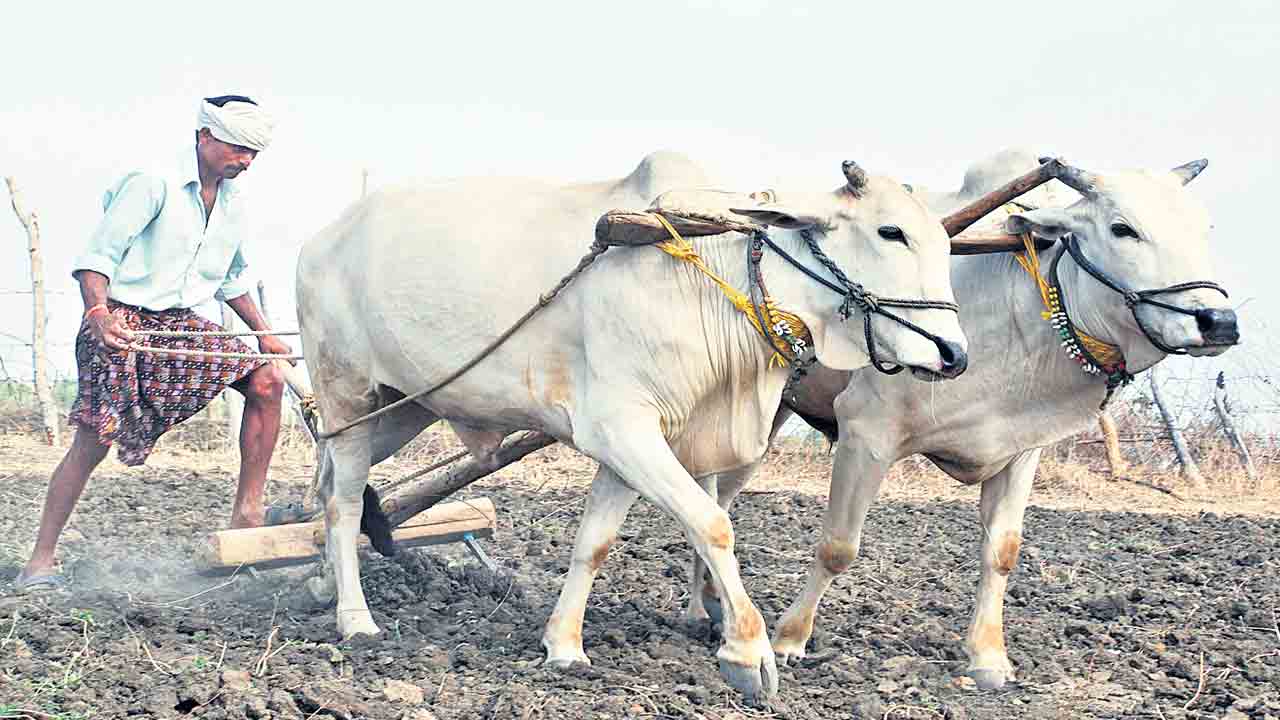 వానాకాలం ప్రణాళిక సిద్ధం