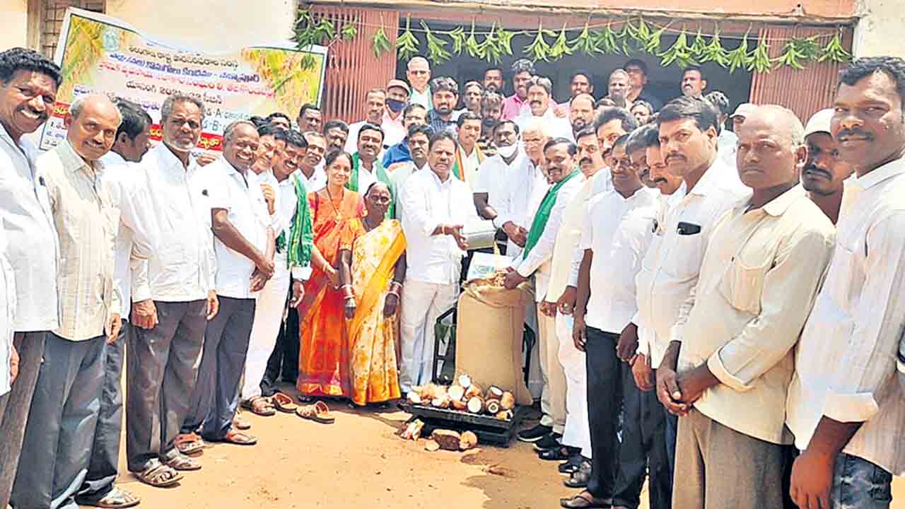 ప్రతి గింజను కొనుగోలు చేస్తాం