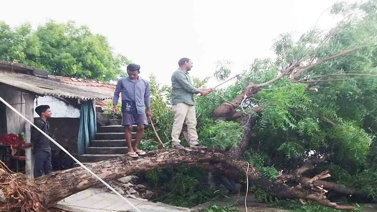 కూలిన ఇండ్లు..నేలవాలిన చెట్లు..