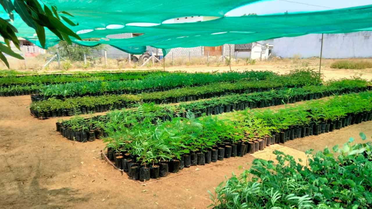 ఆదర్శ గ్రామం బుద్ధారం