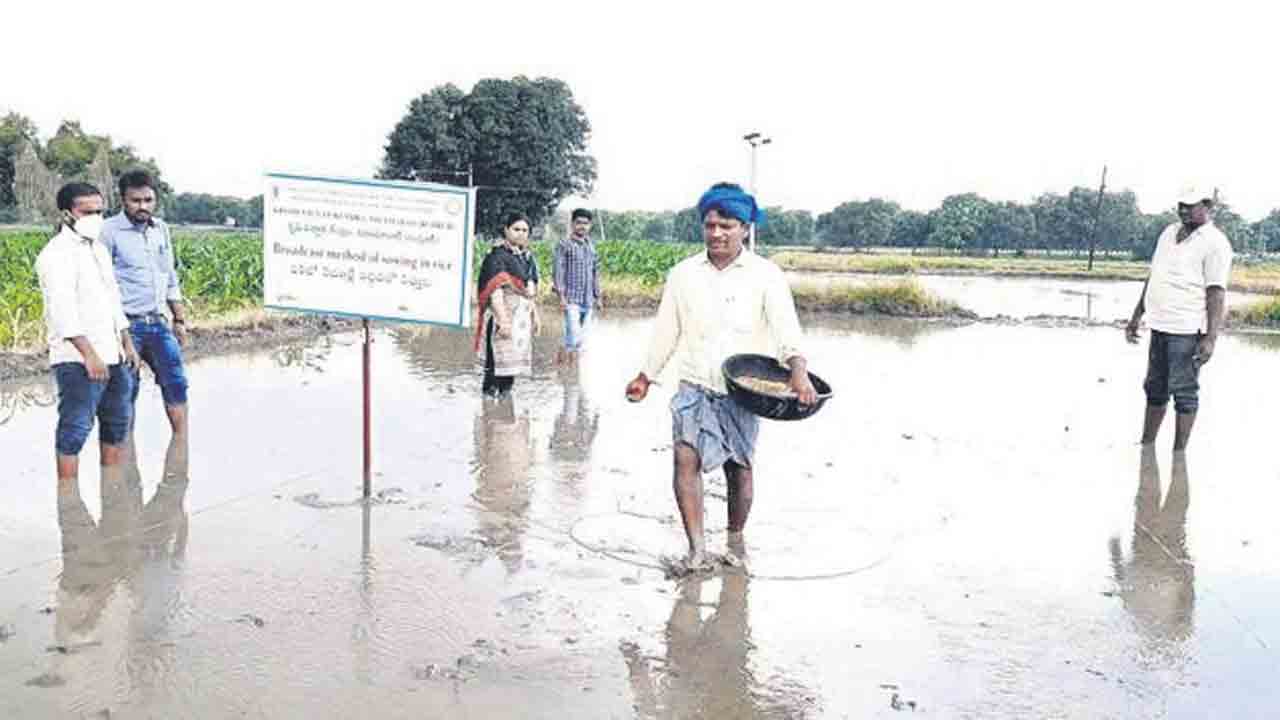 ప్రదర్శన క్షేత్రాలతో పంటల సాగు