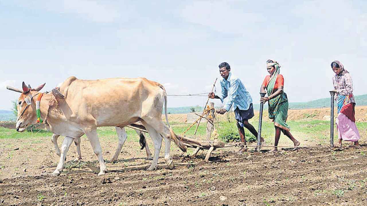 వానకాలం ప్రణాళిక సిద్ధం