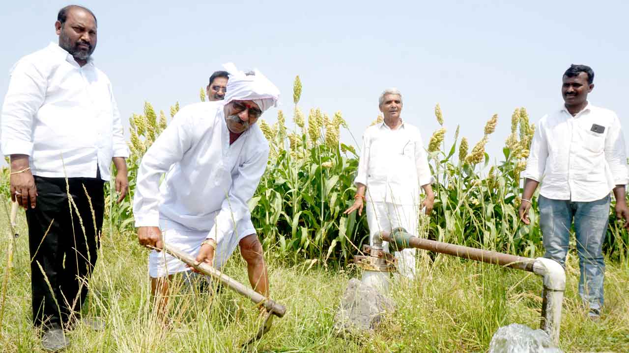 మన కరంటు బహా సాగు