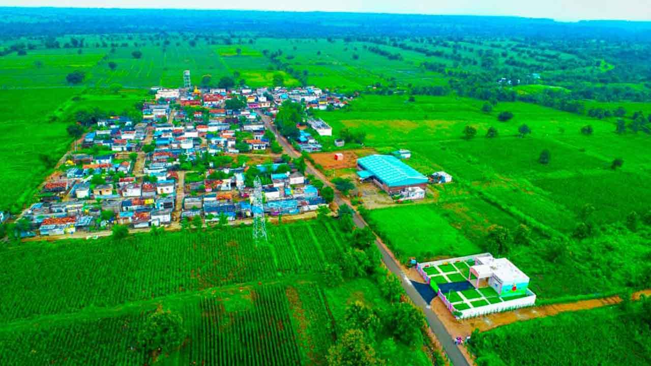 వన సైనికులు..