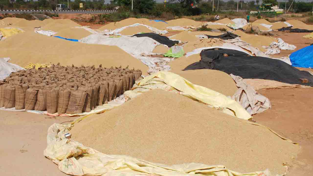 దండిగా ధాన్యం