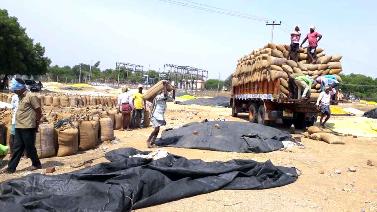 ముమ్మరంగా ధాన్యం కొనుగోళ్లు