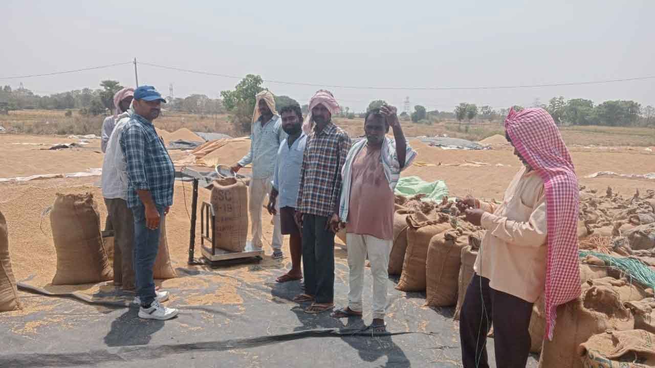 జోరుగా ధాన్యం కొనుగోలు