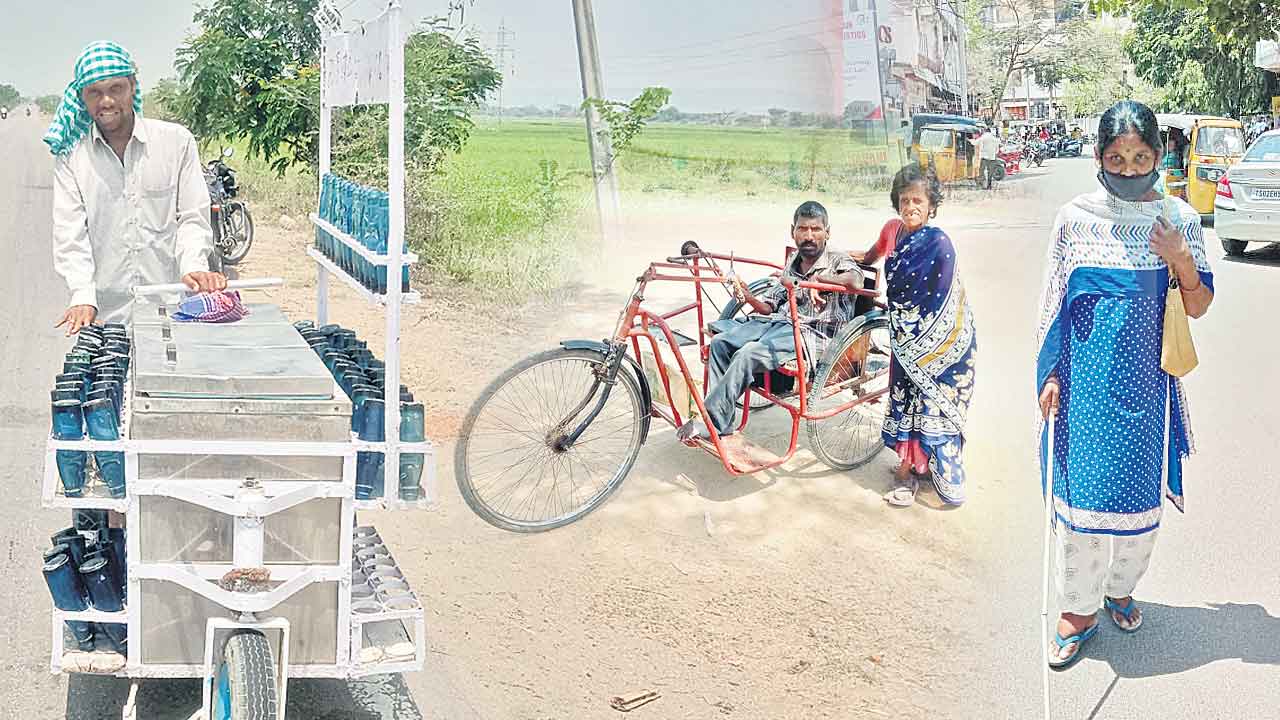 వైకల్యాన్ని జయించారు