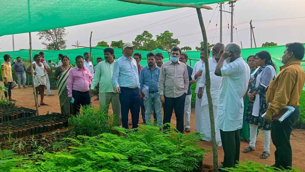 హరిత సంకల్పం