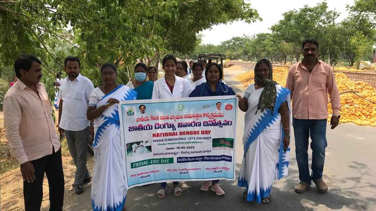 డెంగ్యూ ప్రబలకుండా జాగ్రత్తలు పాటించాలి