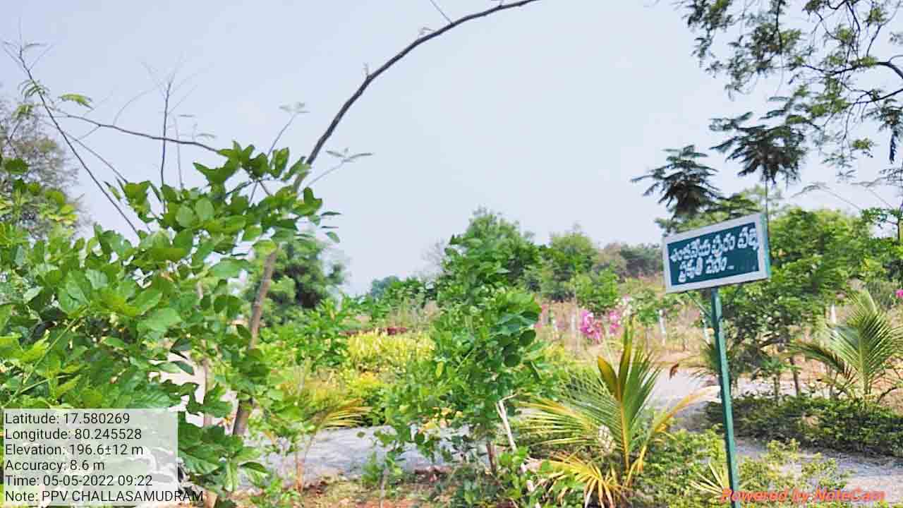 ‘పల్లె’ల్లో పరిమళాలు