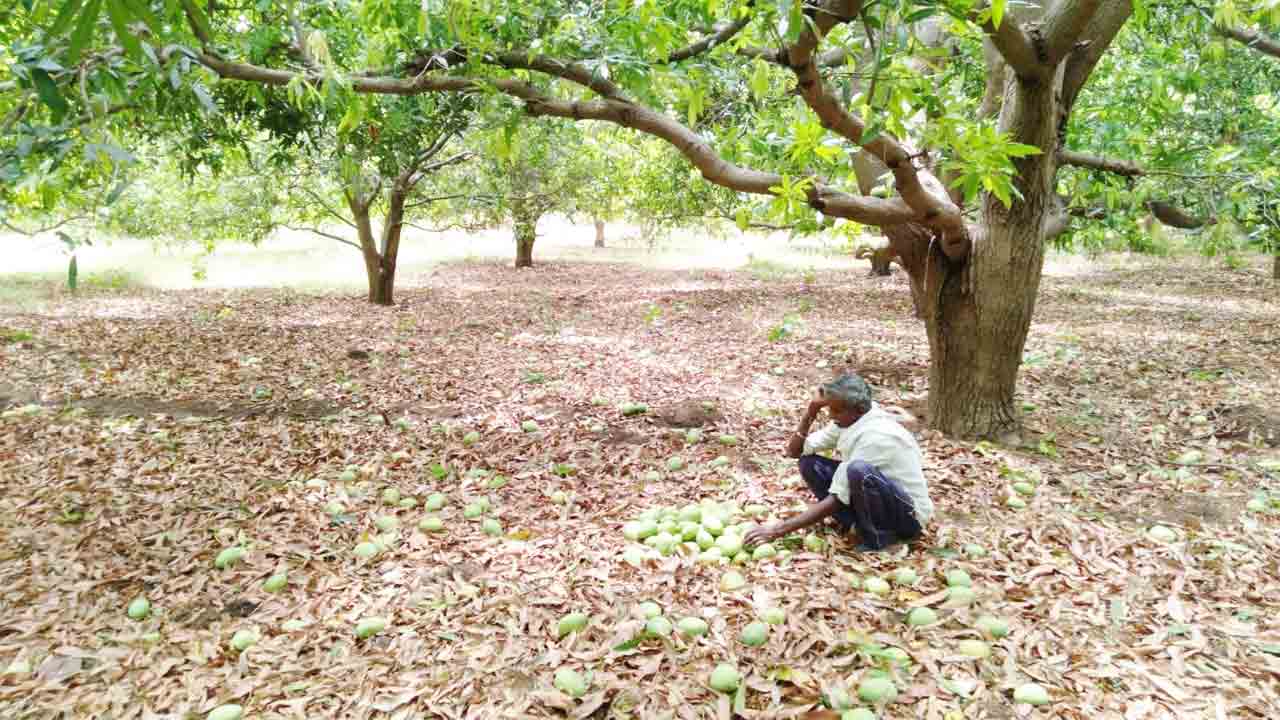 ‘అకాల’ నష్టం ఉమ్మడి జిల్లాలో వర్షం