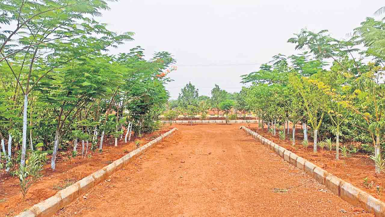 ఆహ్లాదకరంగా పల్లె ప్రకృతి వనం