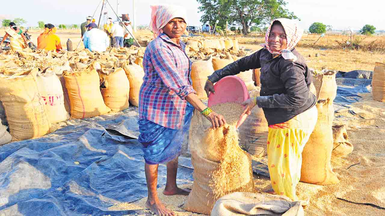 సేకరించిన యాసంగి వడ్లు 30 లక్షల టన్నులు