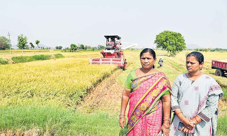 బతుకు మార్చిన దళితబంధు