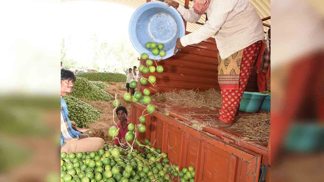 బత్తాయికి భలే డిమాండ్‌
