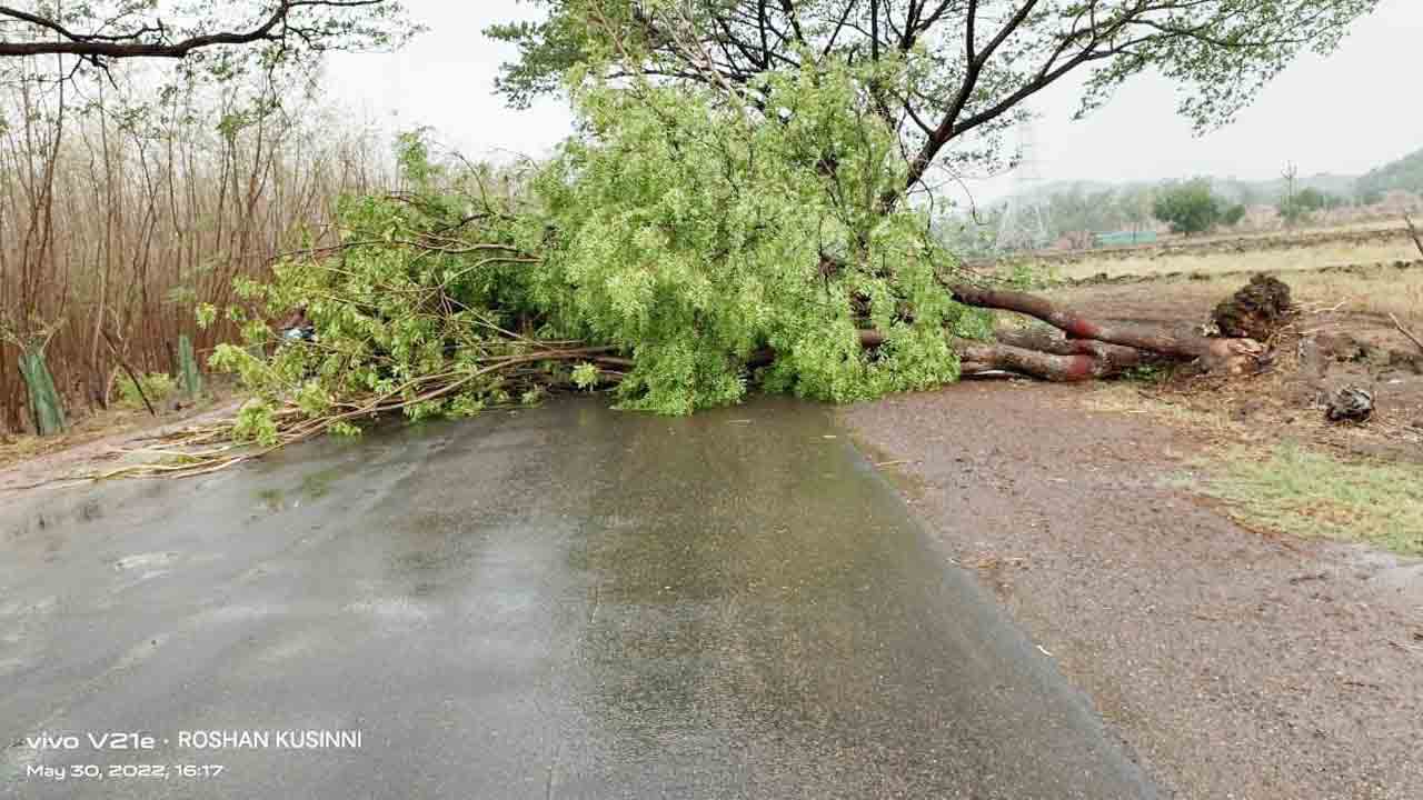 గాలివాన బీభత్సం