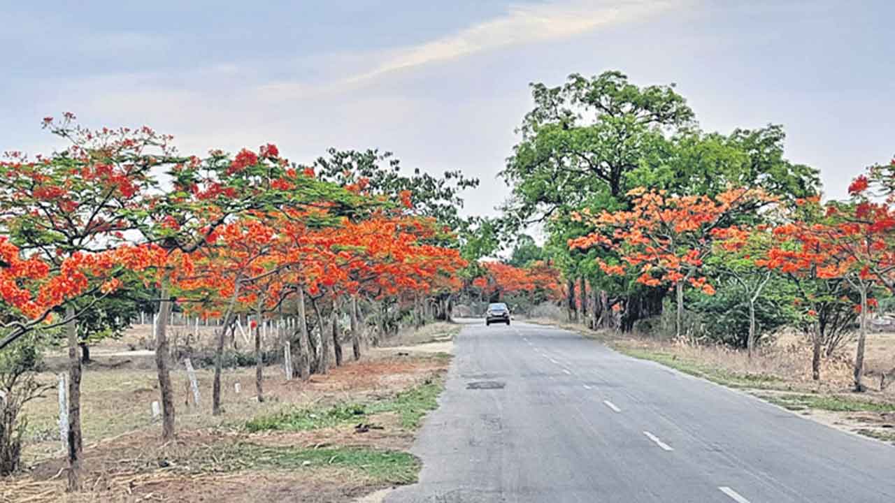 ‘హరిత’దారులు.. స్వాగత తోరణాలు