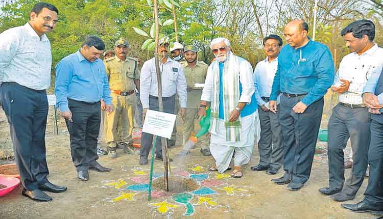 హైదరాబాద్‌ వృక్షాల నగరం