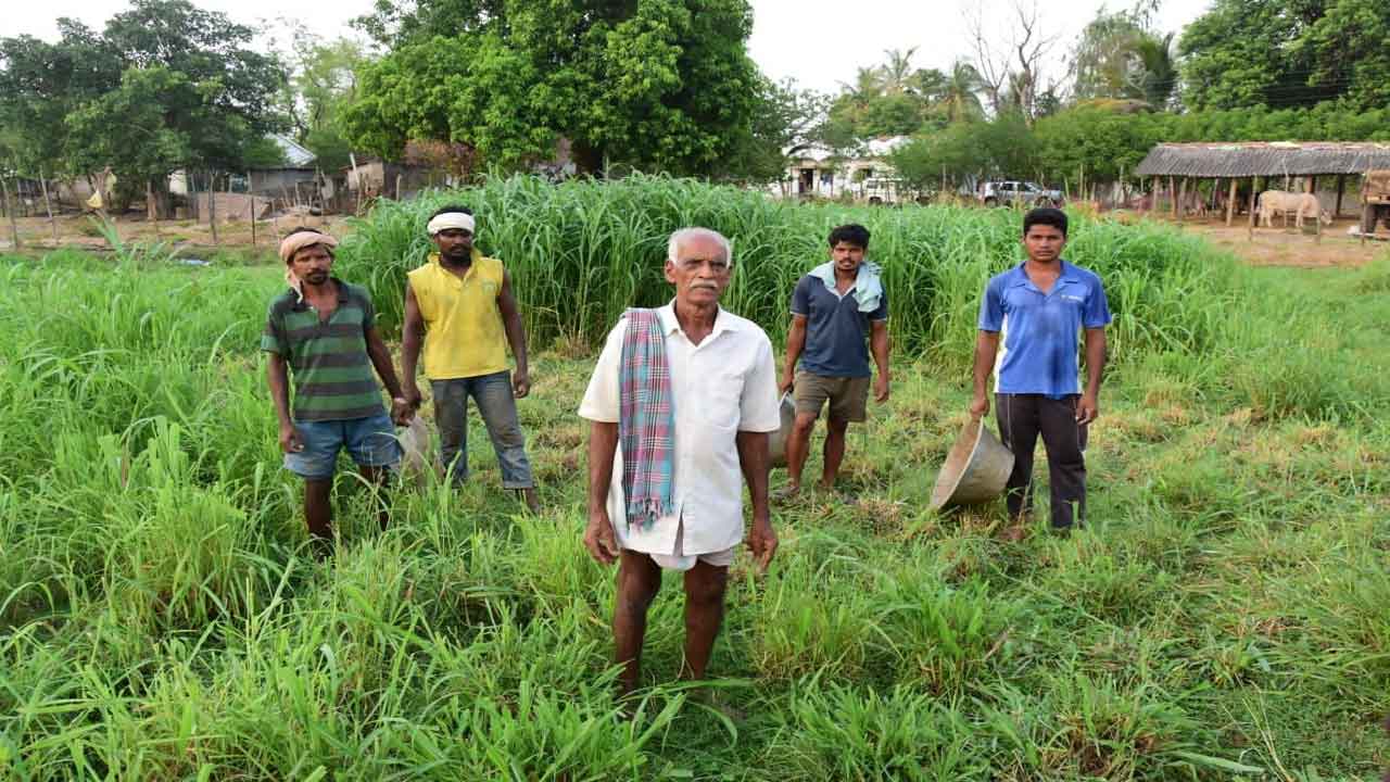 అక్కడ దయనీయం ఇక్కడ స్వర్ణయుగం