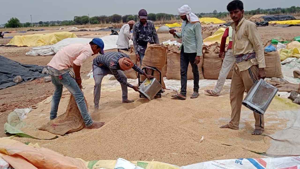 ధాన్యం కొనుగోళ్లు వేగవంతం