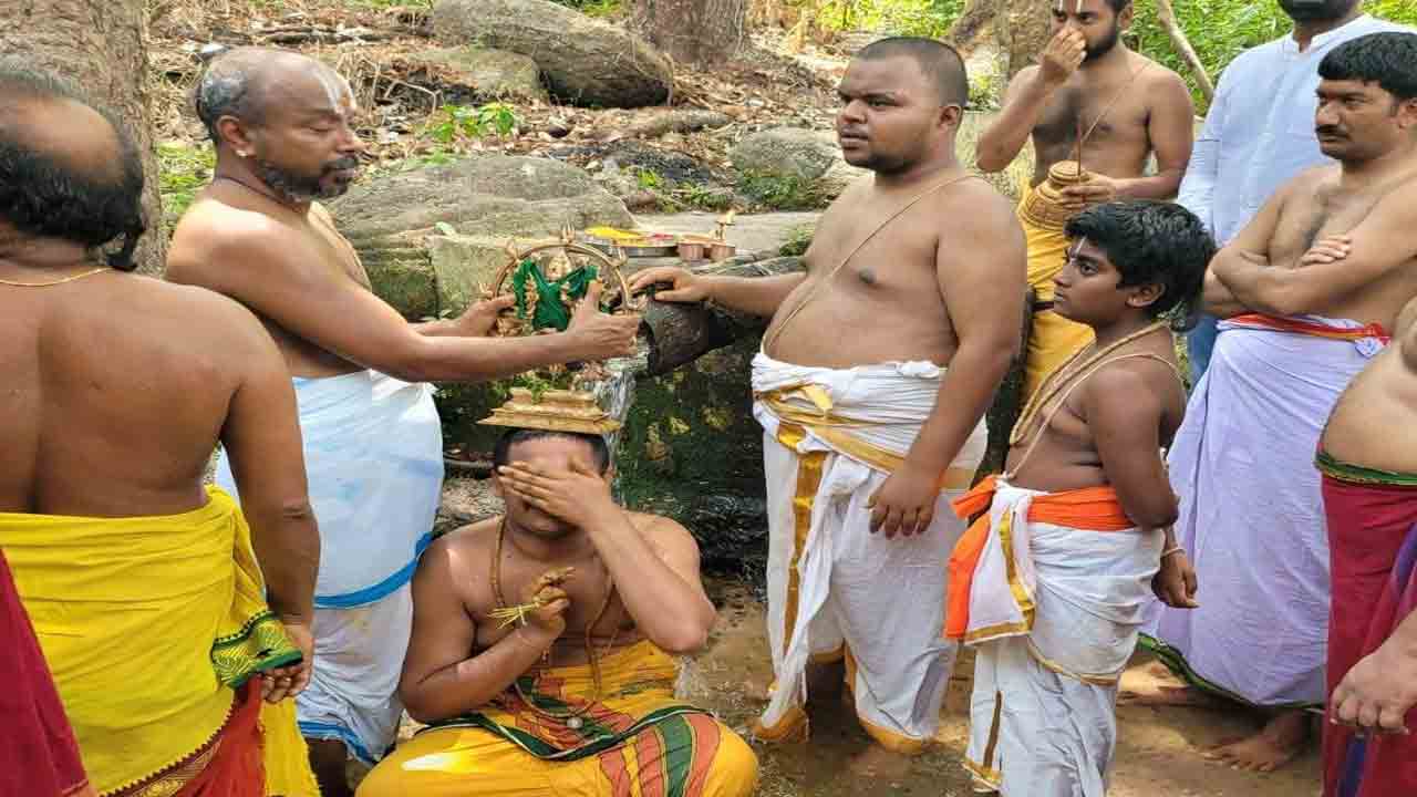 ఘనంగా హేమాచలుడి నాగవెల్లి