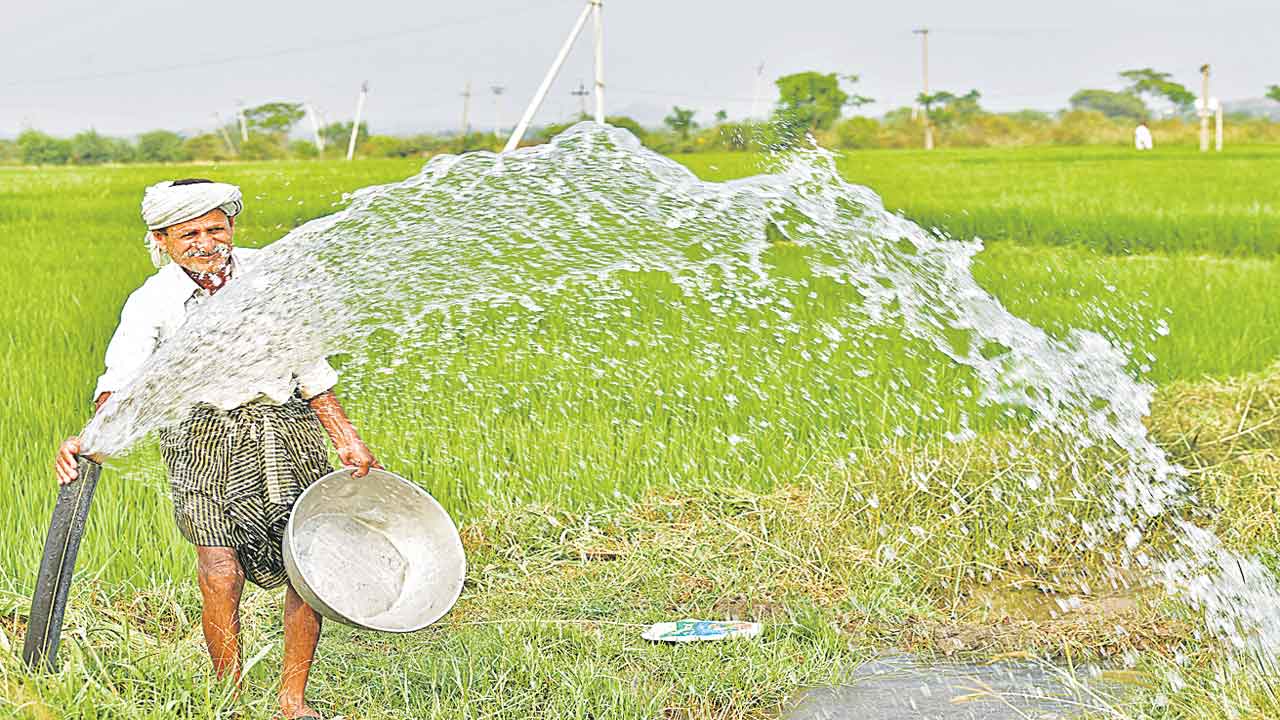 తెలంగాణ మాగాణం.. ఎవుసం సంపన్నం