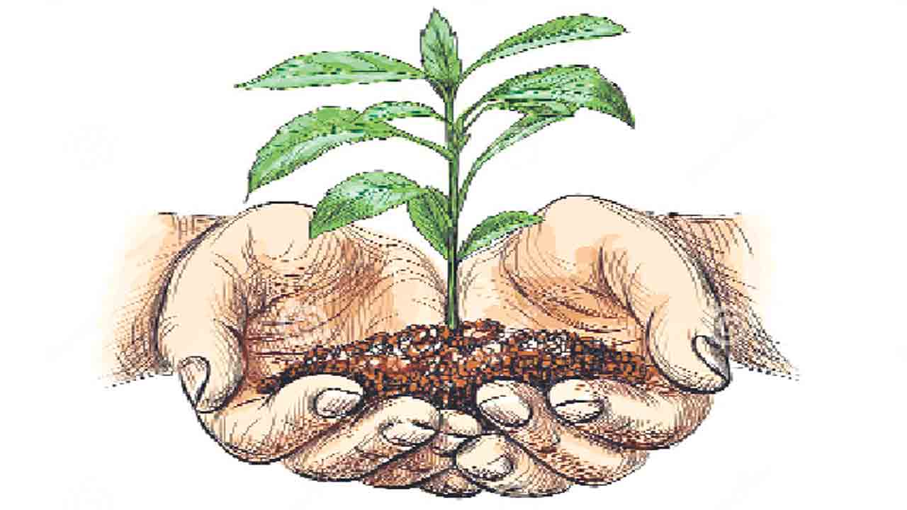 హరిత సన్నద్ధత